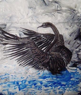 il-cigno-nero
