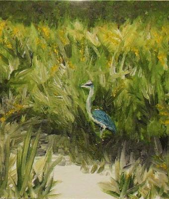 nello-stagno