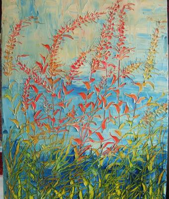piccoli-angoli-di-natura-n
