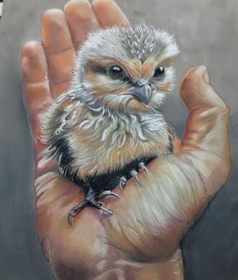 la-natura-fra-le-mani