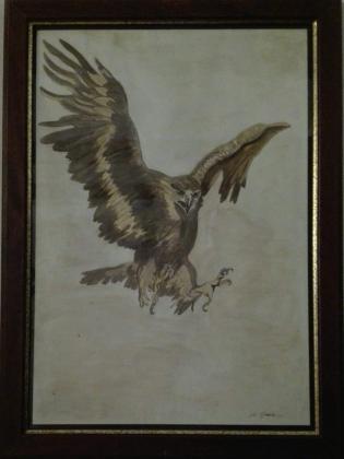 volo