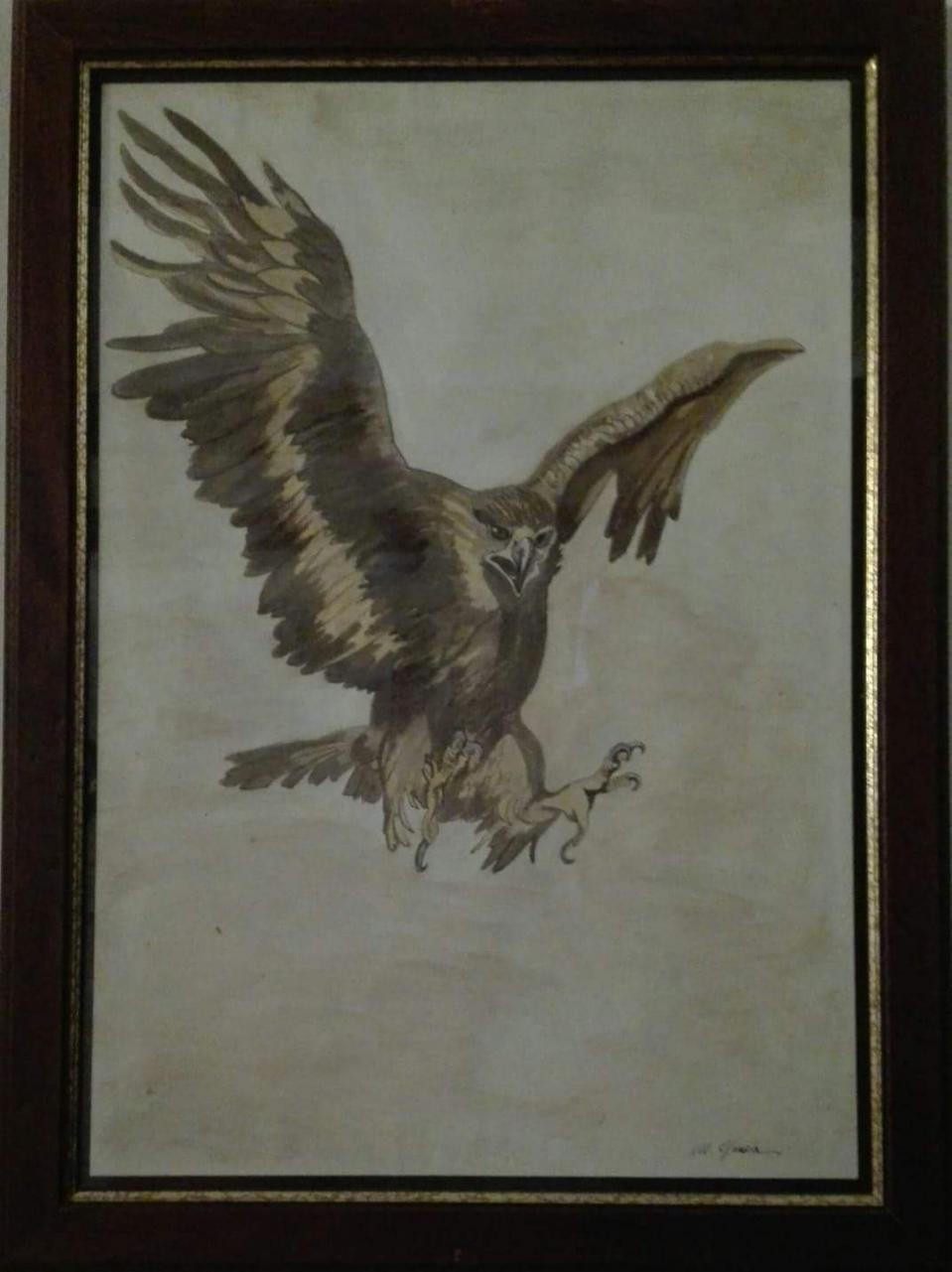 volo