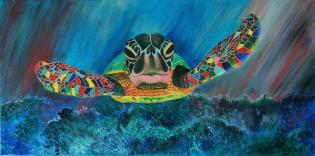 tortuga