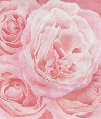 intreccio-di-rose