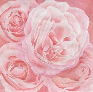 intreccio-di-rose