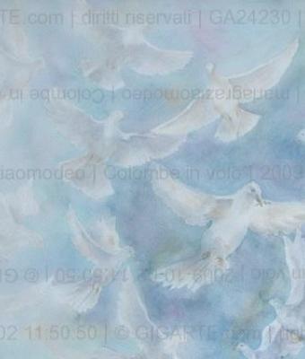colombe-in-volo
