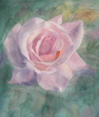 rosa-chiara
