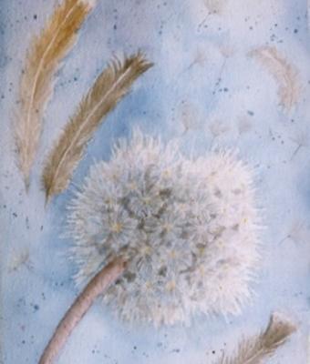 soffioni-con-piume