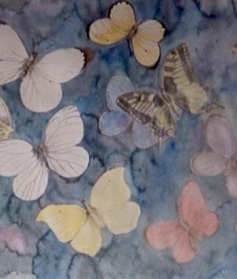 farfalle-a