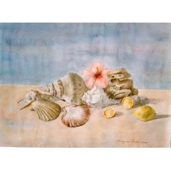 conchiglie-con-ibiscus