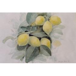limoni