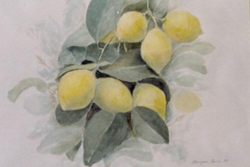 limoni