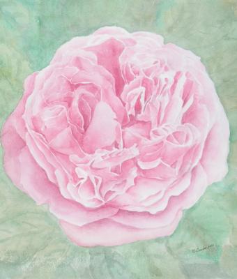 rosa-miranda