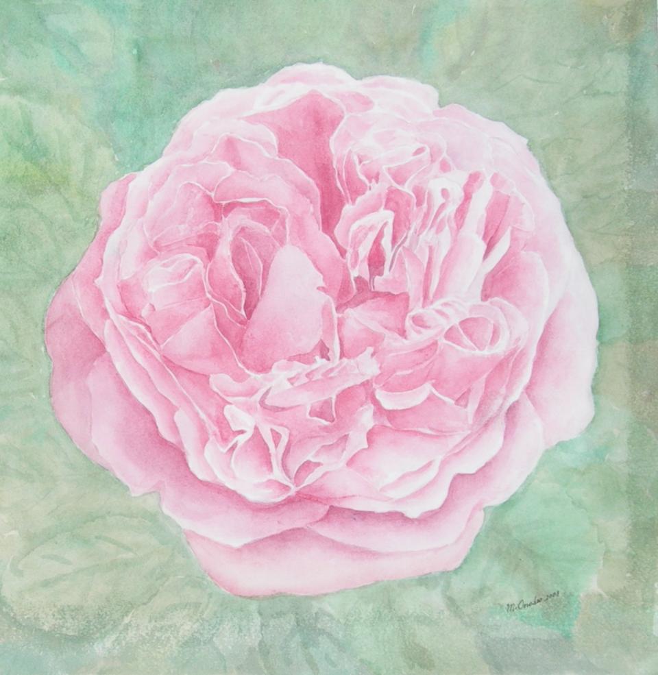 rosa-miranda