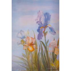iris