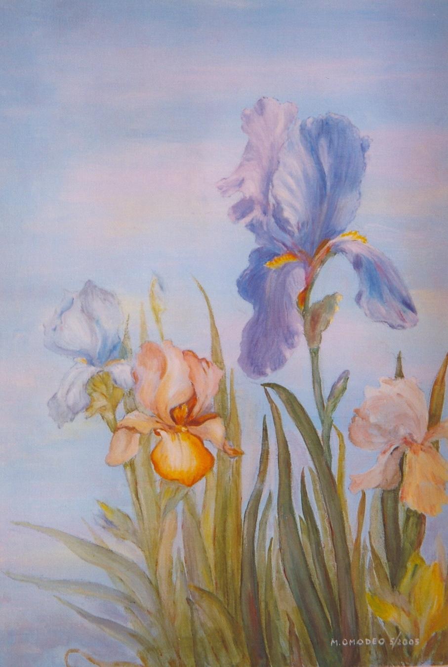 iris