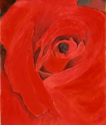 rosa-rossa