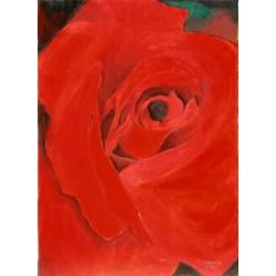rosa-rossa
