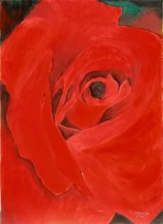 rosa-rossa