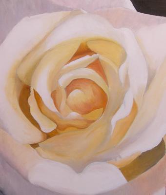 rosa-gialla