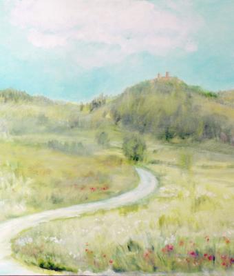 paesaggio-salicese