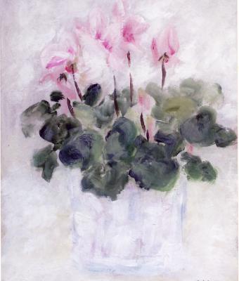 i-ciclamini