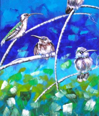 il-giardino-dei-colibri