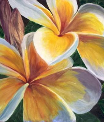 frangipani