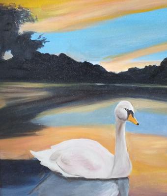 lago-con-cigno