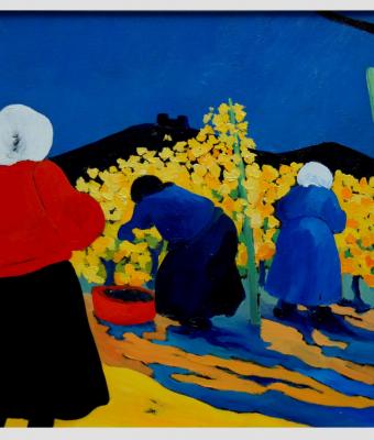 vendemmia-in-alsazia