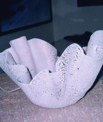lampada