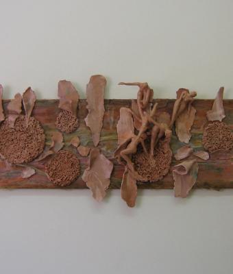 cercata-la-pace-tra-le-fronde