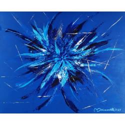 hyacintho-ignis-fuoco-azzurr