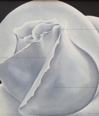 gray-rosebud