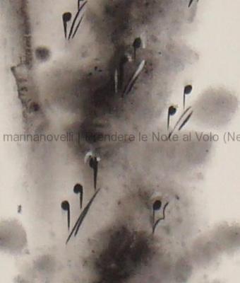 prendere-le-note-al-volo-nero