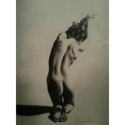 nudo-82