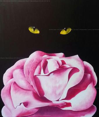 rose-s-yellowcateyes