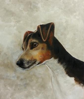 jack-russell-ugo