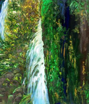 amazzonia