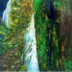 amazzonia