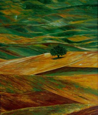 albero-solitario