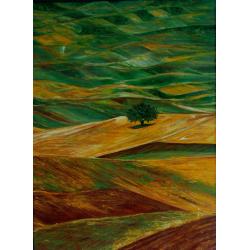 albero-solitario