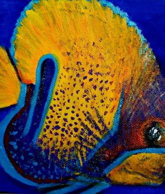 pesce-1