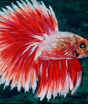 pesce-2