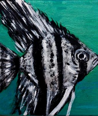 pesce-4