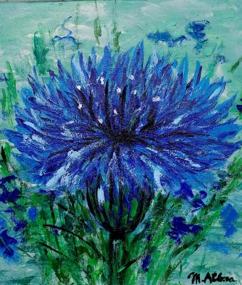fiordaliso