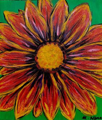 gazania