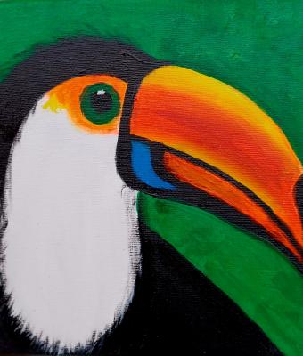 tucano