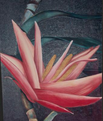 fiore-rosso-su-fondo-nero