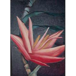 fiore-rosso-su-fondo-nero
